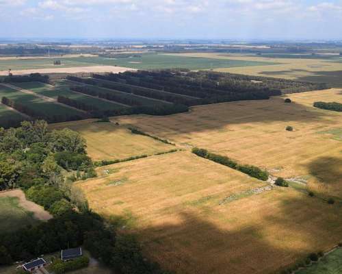 Excelente Campo de 101 Has 100% Agrícola en Alsina. BS AS.