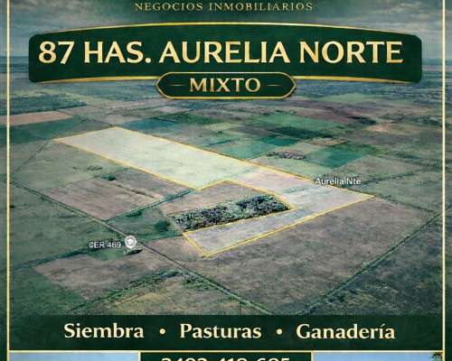 Oportunidad 87 Has Mixtas Aurelia Norte