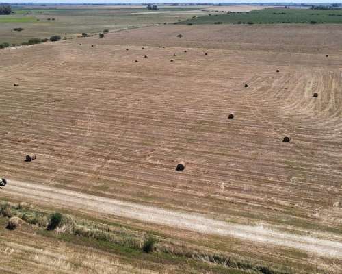 150 Hectáreas Agrícolas en Gualeguaychú.