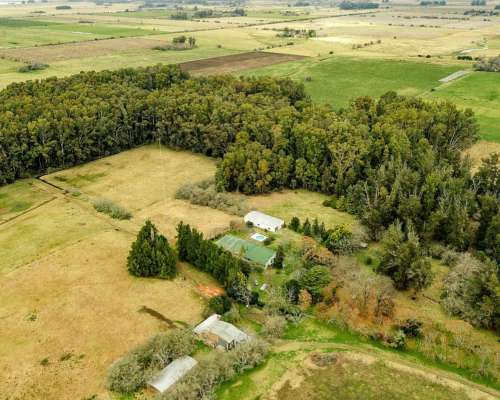 General Mansilla, Magdalena, Buenos Aires - 78 Ha