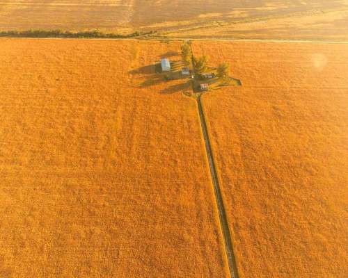 Campo en Venta en Colonia Castelar, Santa FE