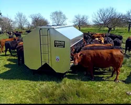 Comedero Autoconsumo para Animales
