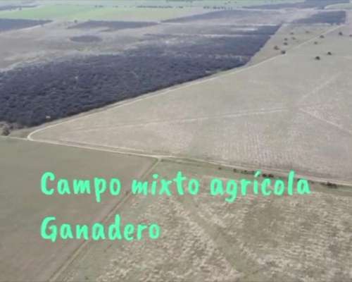 Se Venden 1138 Has Mixtas. a 20km de Santa Rosa LP