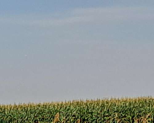 822 Has Agríc Total Soja,maíz Trigo Producc en Zona Buchardo