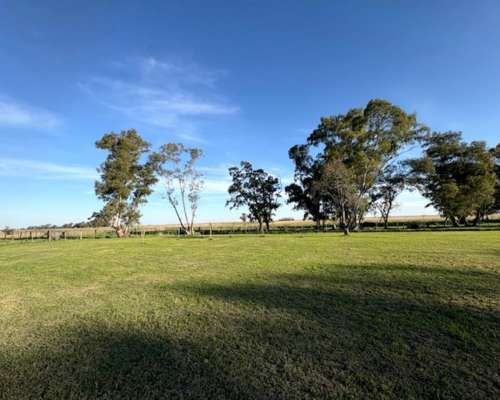 Campo de 104 , Mixto con Casa Ymejoras