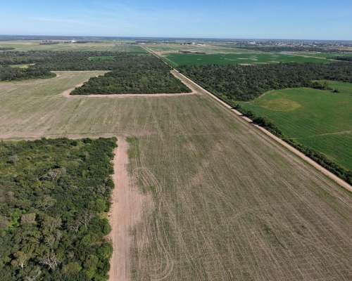 Charata, Chacabuco, Chaco - 100 Ha