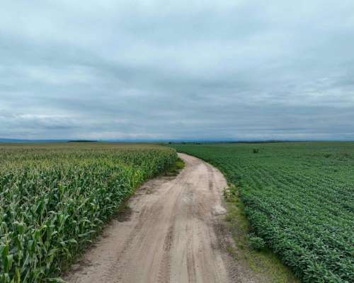 Pcia. de Catamarca - Bañado de Ovanta 437 Ha