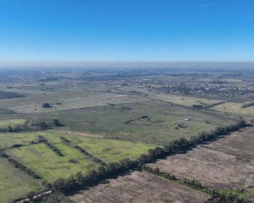 Pcia. de Buenos Aires - Marcos PAZ 185 Has