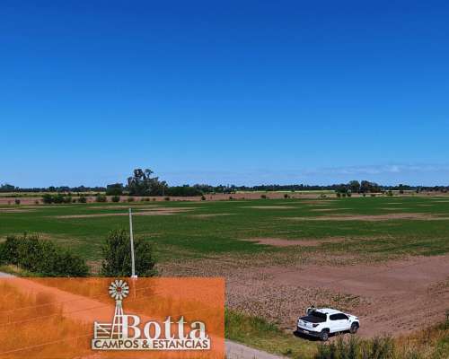 24has en Venta en Carlos Keen, 100% Agrícolas