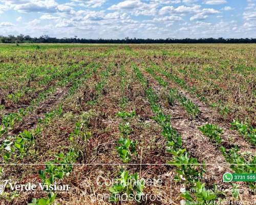 80 Has en Venta - Pcia del Chaco, Campo Largo