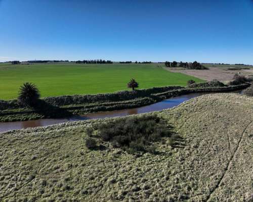 Tres Arroyos, Buenos Aires - 120 Ha