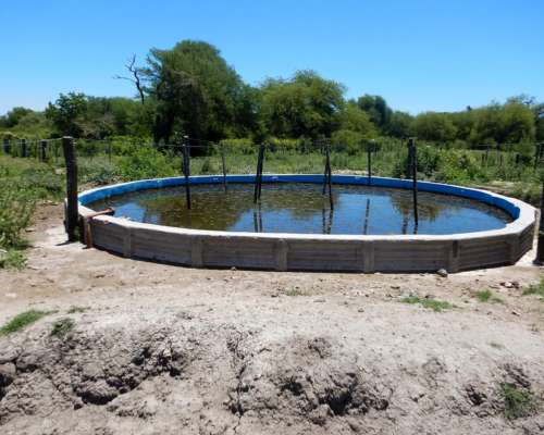 1491 Has Ganaderas de Cría - la Gallareta - Vera - Santa FE