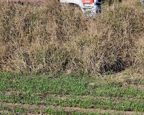 1500 Has. Agrícolas en Lavalle, Santiago del Estero.
