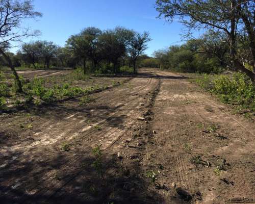 Campo Ganadero Apto Feedlot, 94 HA, Villa de Soto, Córdoba