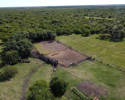 594 Has muy Buen Campo Ganadero en Venta Dpto. Federal