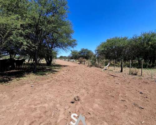 Se Vende Excelente Campo Ganadero en Victorica, la Pampa.