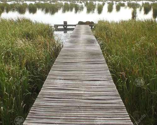 530 Has en Lezama - Hermosas Vistas a la Laguna