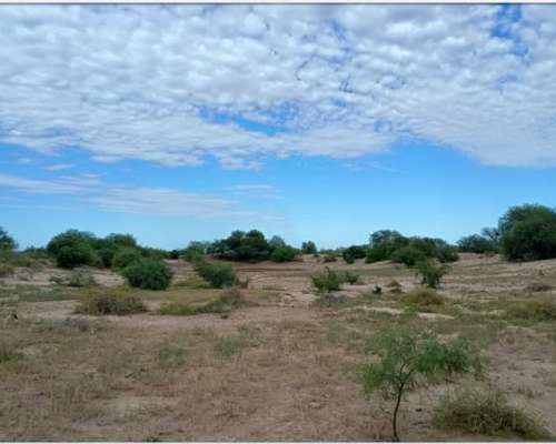 Vendo /permuto Campo en San Luis