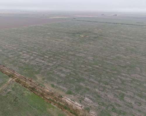 Venta 100 Has Agricolas en Dpto San Martin.