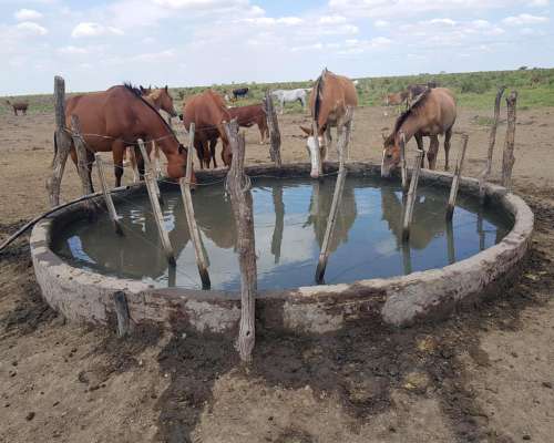 Gato Colorado Vendo 2100 Ha Ganaderas