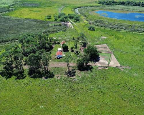 Campo Ganadero/bubalino – 2.800 Ha en Ituzaingó - Corrientes