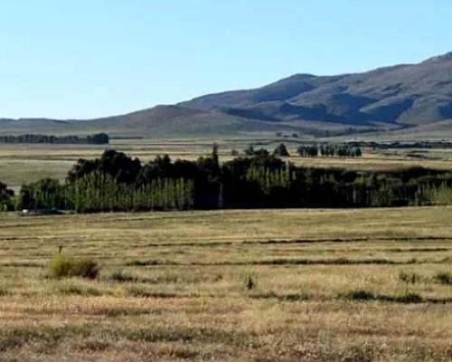 Vendo 64 Has con Arroyo Sierra de la Ventana