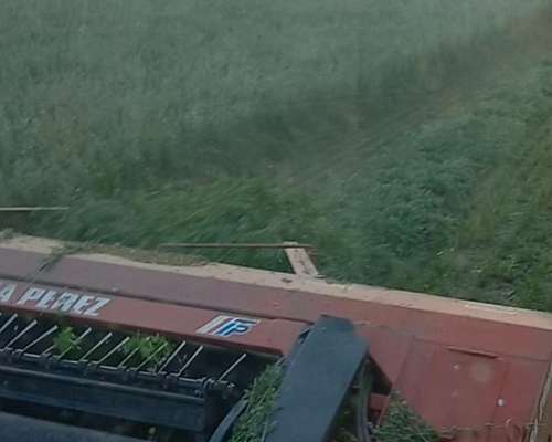 Segadora Tecnología Perez año 2009