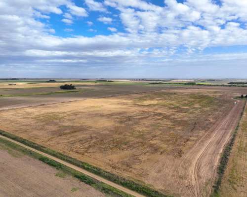 Pcia. de Cordoba - Sampacho 601 Has