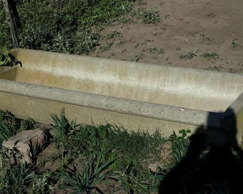 Piletas Cemento (2) + Jeringas Autom.(2) + Picana Pilas(1)