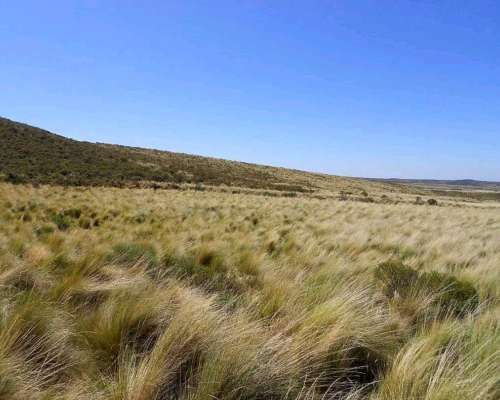 Cerros Largos (carolina ) 147 Has