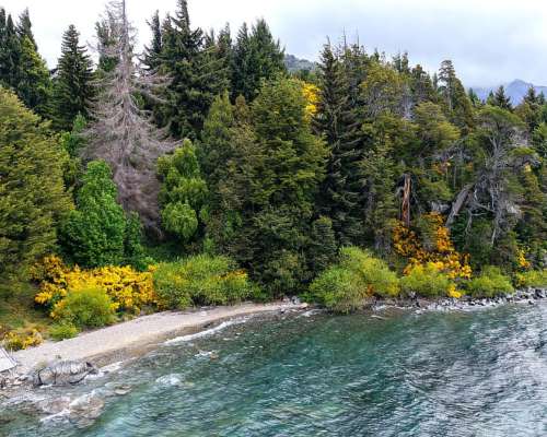 Terreno Único en Villa Traful