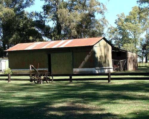 600 Has. Mixtas las Flores