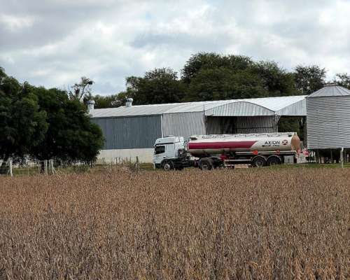 Gasoil/ Diesel X10 - Axion Agro Energy