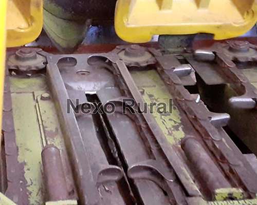 Maicero Allochis 14/52, 2008. Bajo Galpon.