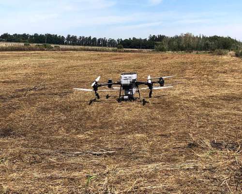 Drone DJI Agras T5o. Siembra, Fumiga y Fertiliza