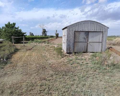 Campo con Buena Producción de UVA y Pozo con Bomba.