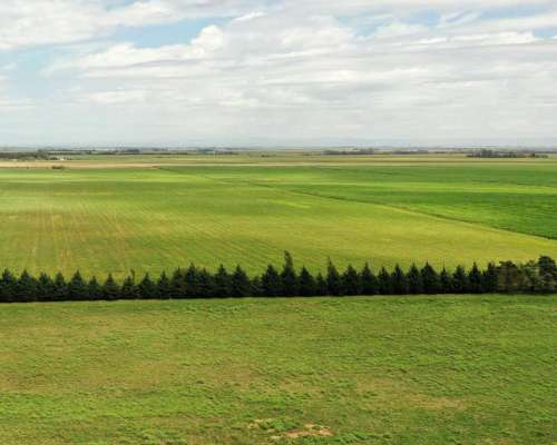 Río Cuarto, Córdoba - 8 Ha