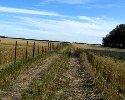 Vendo muy Lindo Campo de 222 Has en Colonia Silva