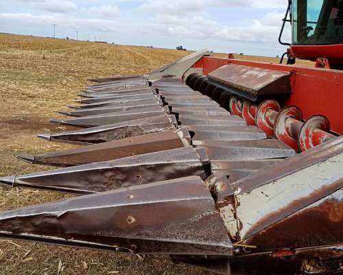 Maizco Mxiii 12 a 52 CM. año 2006.