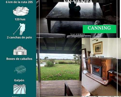 Estancia las Codornices 120 Has