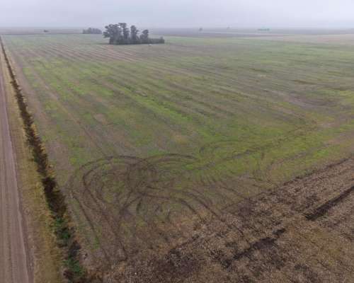 30 HA. Agrícola Suelo Clase 1. Muñoz (santa FE)