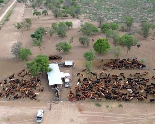Estancia Agrícola - Ganadera