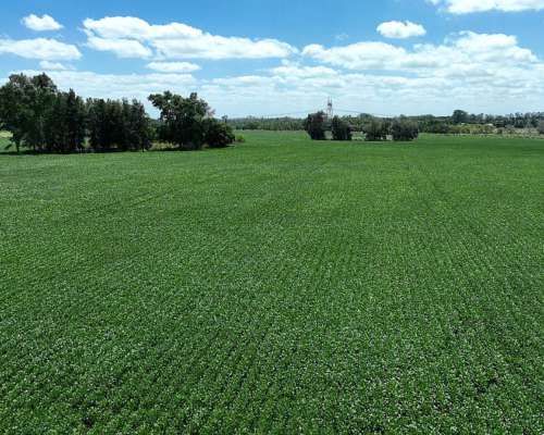 235 Has. Campo con Casco Sobre Ruta 8 en Parada Robles