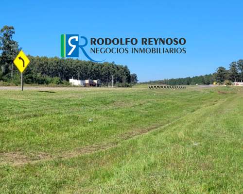 Campo 92 HA. en Concordia (entre Ríos)