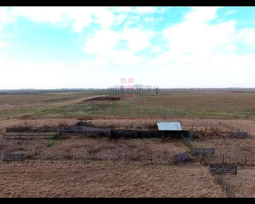 6902ha Campo Mixto en Venta en Lincoln, Pcia. de BS AS.