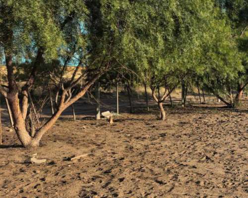 9.400 Ha Zona Vaca Muerta, la Pampa, con Regalias