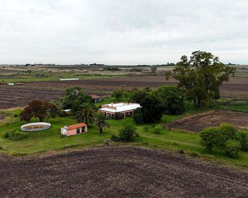 Vendo Campo Mixto Dpto. Gualeguay.