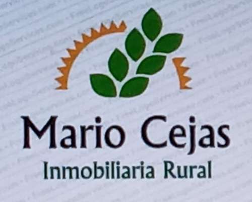 14 Has. Únicas en General Lagos Rosario