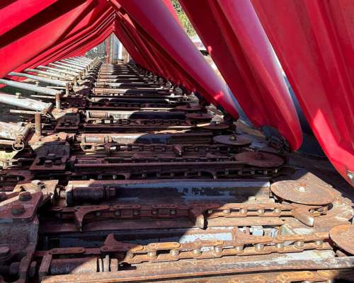 Maicero de Grande 16 a 52 año 2011-financiación Propia