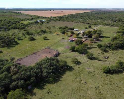594 Has muy Buen Campo Ganadero en Venta Dpto. Federal